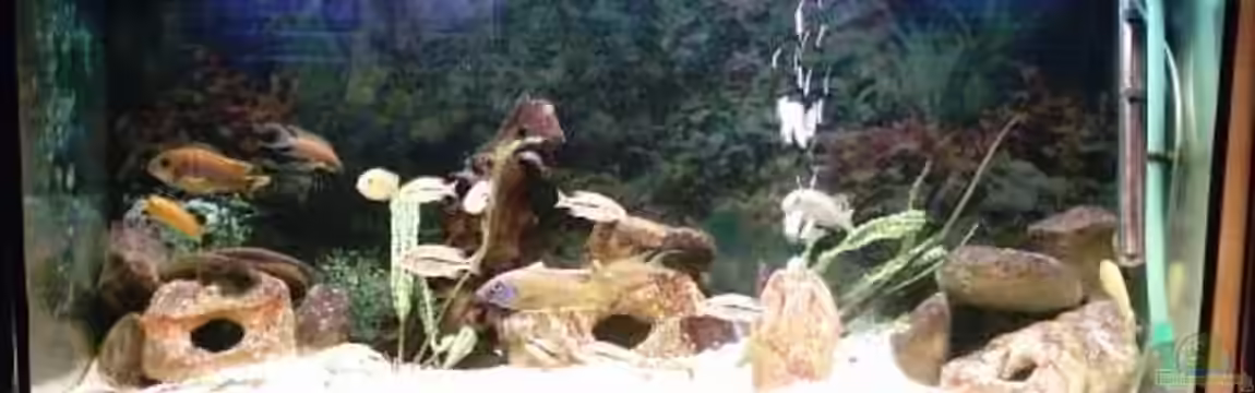 Becken 73 von David Maitschke