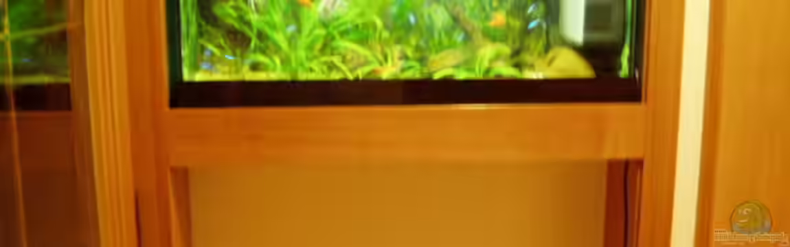 Becken 733 von Michael Spillner