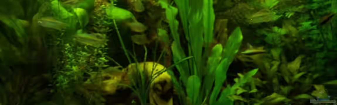 Becken 7339 von Slap-Fighter-FCN