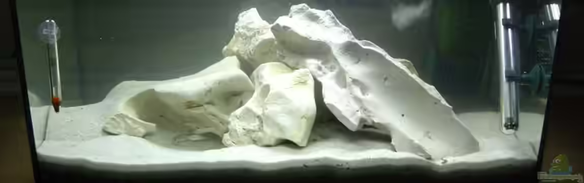 Becken 7360 von Stefan Großmann