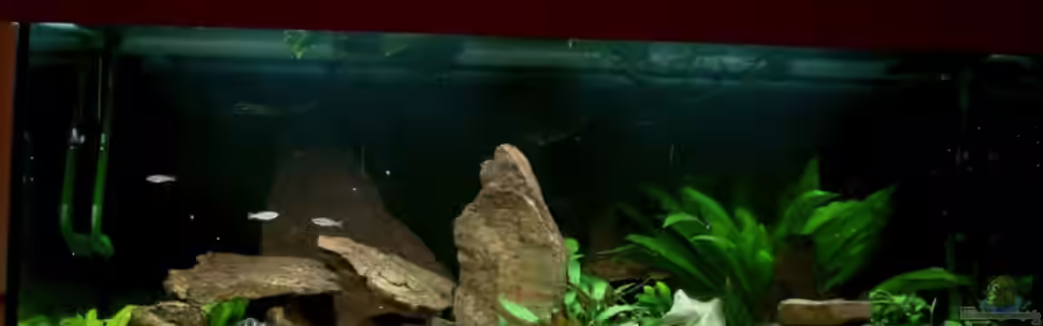 Becken 7382 von Benedikt Zimmermann