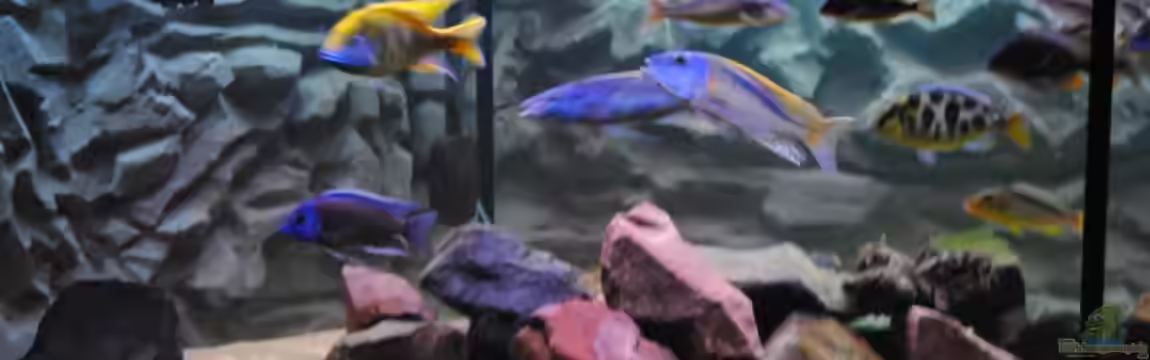 Becken 7395 von Manni