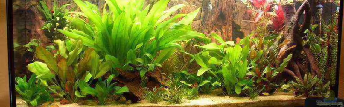 Becken 741 von Jan Kersten