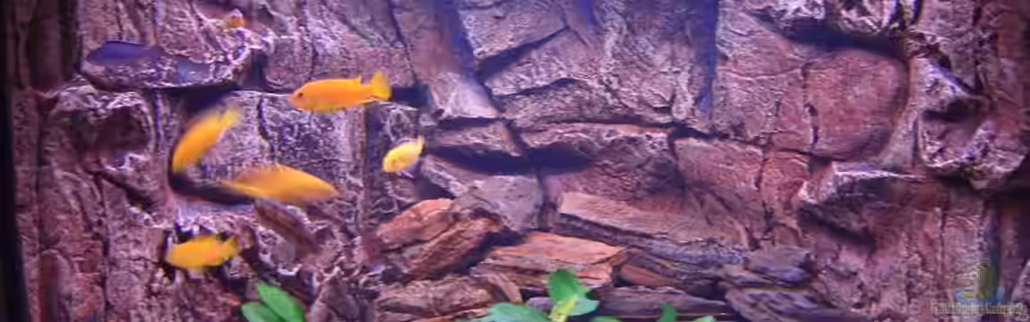 Becken 7438 von Rico Köhler