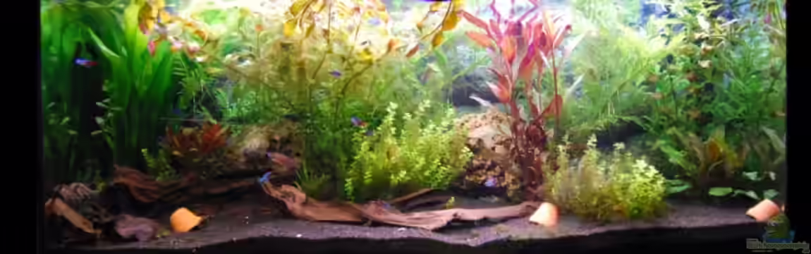 Becken 7453 von Tobse