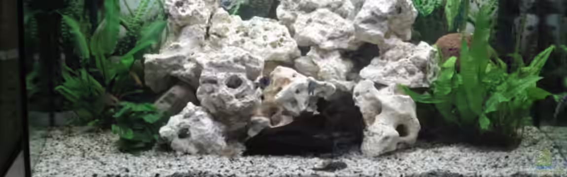 Becken 7460 von Michael Mahnken