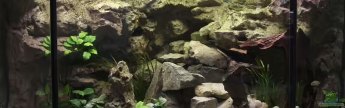 Becken 7495 von photizo