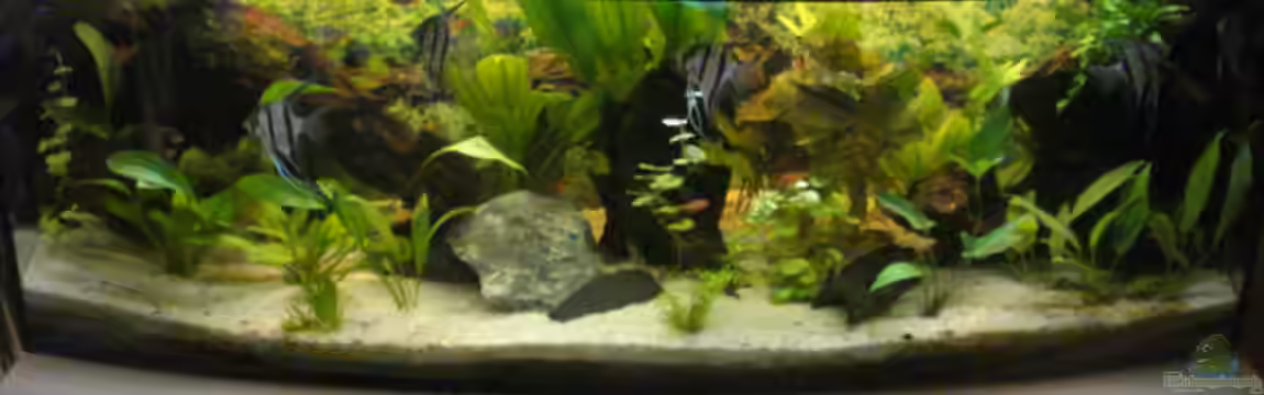 Becken 7498 von Matthias Reiff