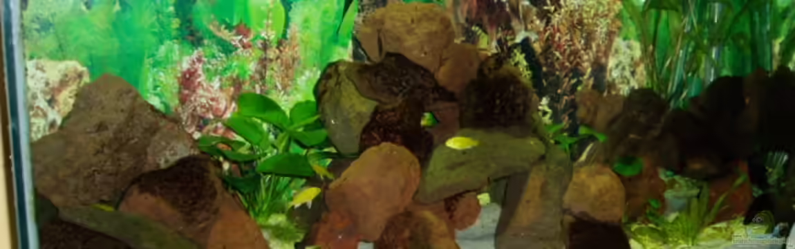 Becken 7528 von sirlasso