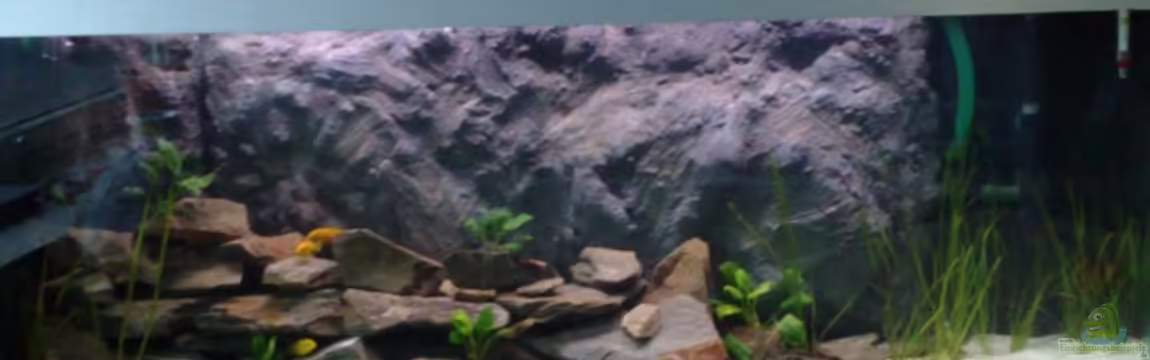 Becken 7545 von Rue2000