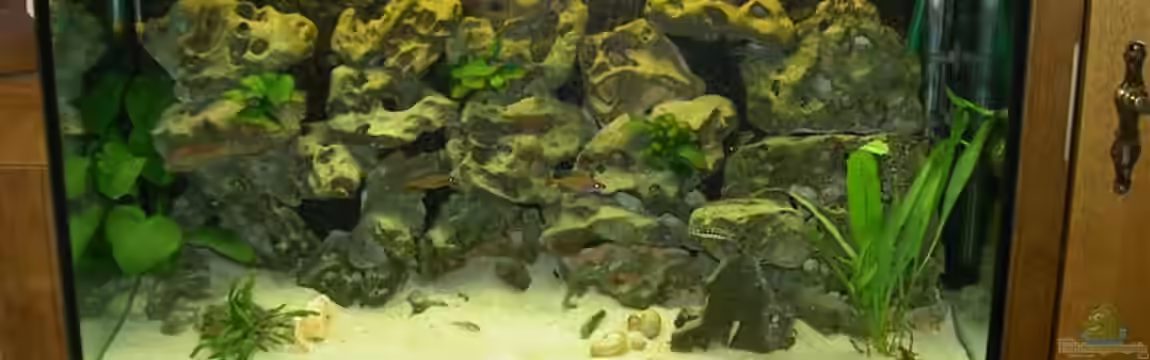 Becken 755 von Reinhard Boll