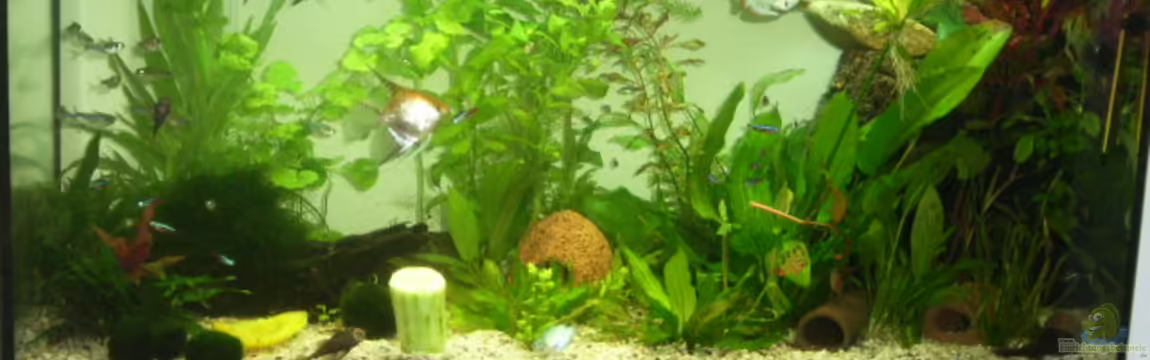 Becken 7551 von Joernfie