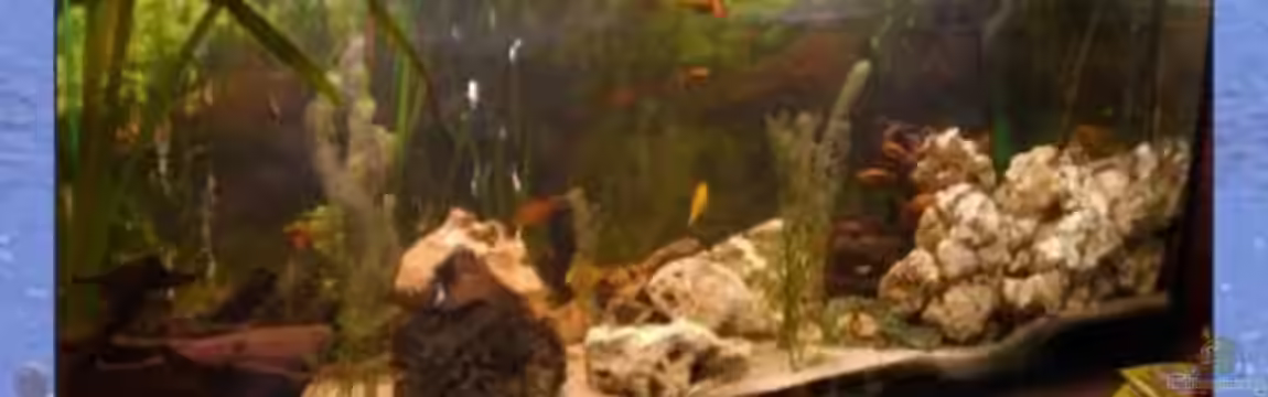 Becken 7630 von Torsten Dau