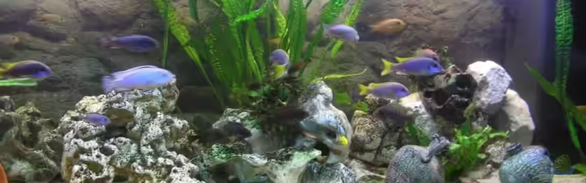 Becken 7645 von Markus Keller