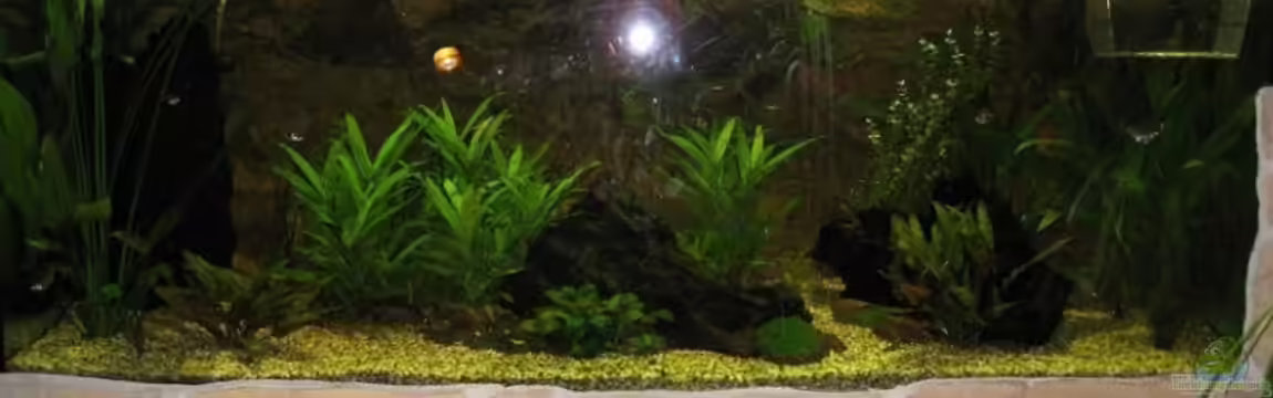 Becken 7674 von benzfanmartin