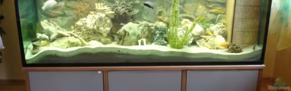 Becken 769 von Christian Grundler