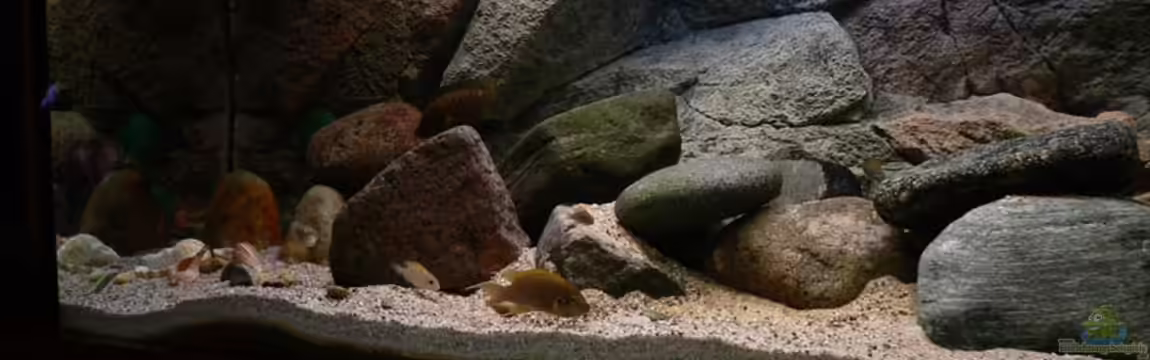 Becken 771 von Oliver Vieth