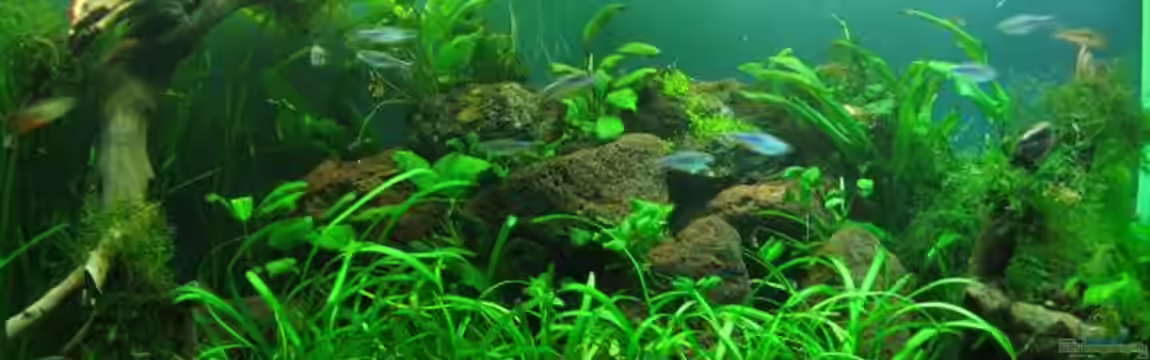 Becken 7715 von Marcus Bendzulla