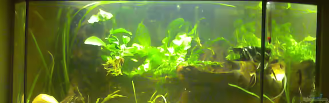 Becken 775 von Nils Stoltenberg