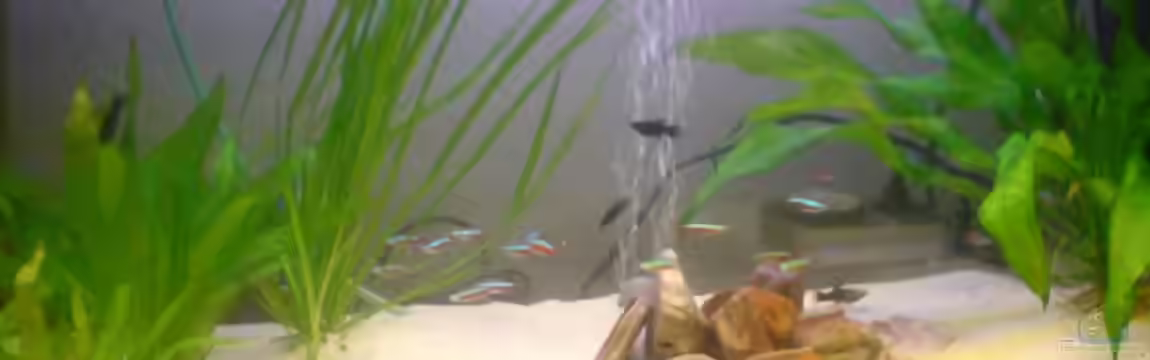 Becken 7767 von K.one.S