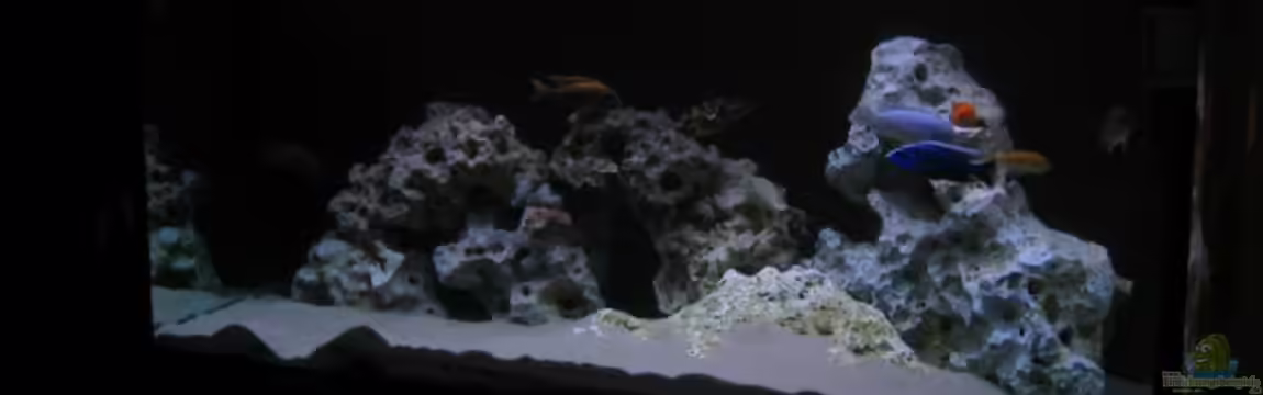 Becken 777 von Jan-Eric Hambuechen