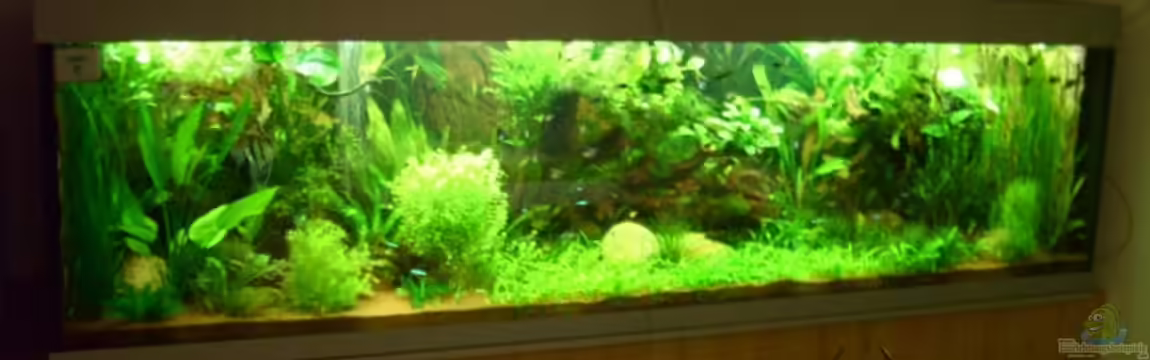 Becken 7786 von Klausimausi