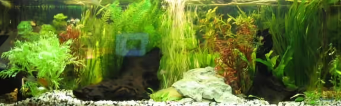 Becken 7806 von Dennis Blümlein