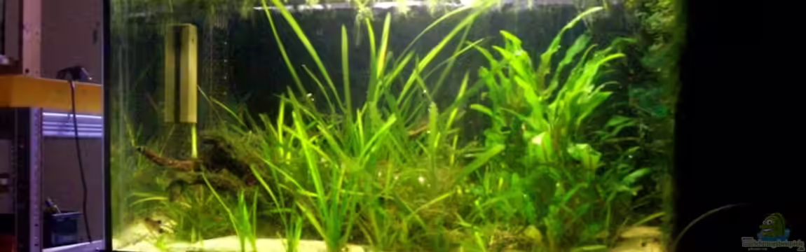 Becken 7857 von Robert Müller