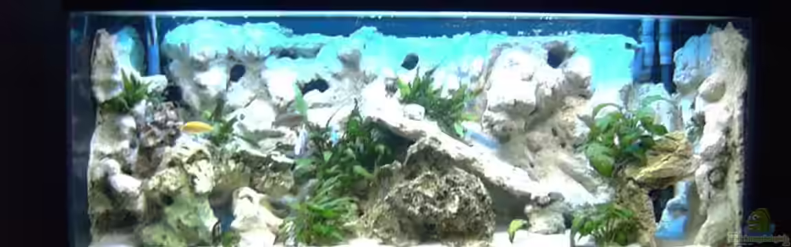 Becken 7863 von Christian Grünke