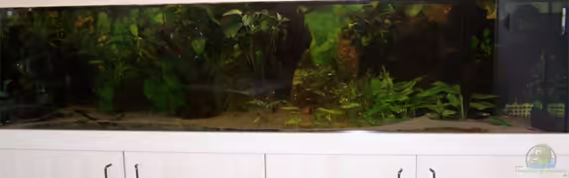 Becken 787 von aus-Berlin