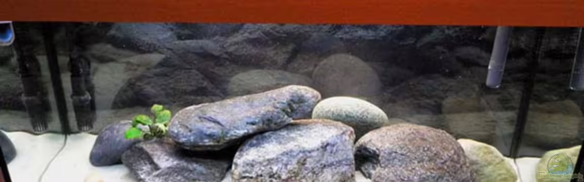 Becken 788 von Oliver Vieth