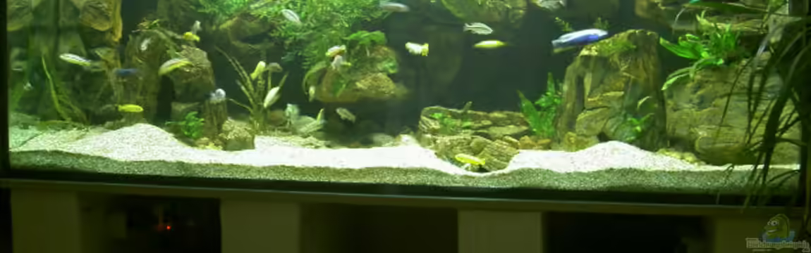 Becken 790 von Thorsten Peetz