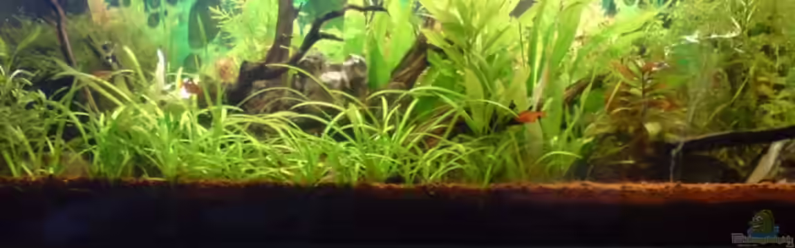 Becken 7912 von Unterwasser-BigBrother