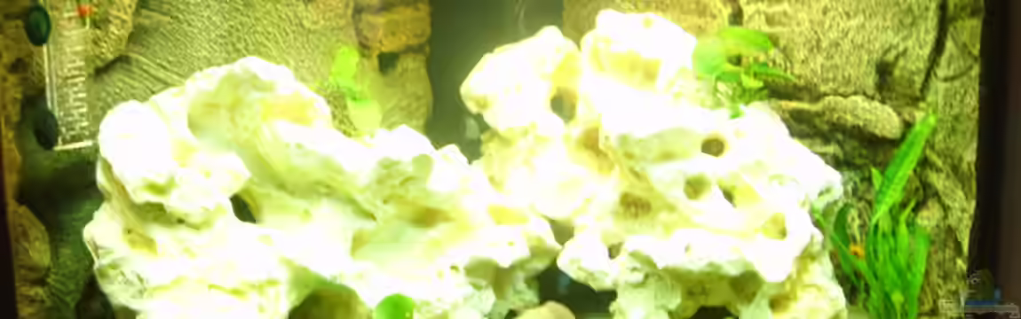 Becken 7914 von Stefan Bichler