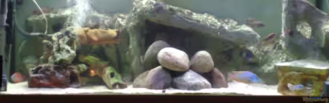 Becken 7920 von Thomas M