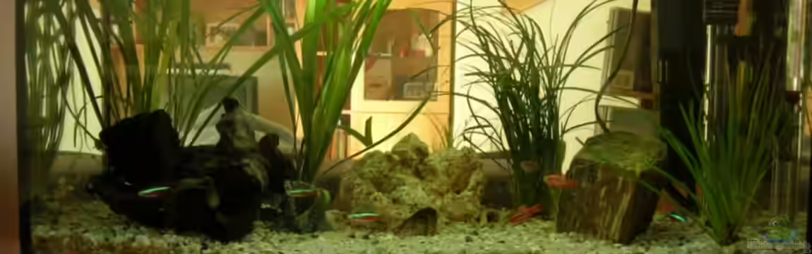 Becken 7931 von steini76