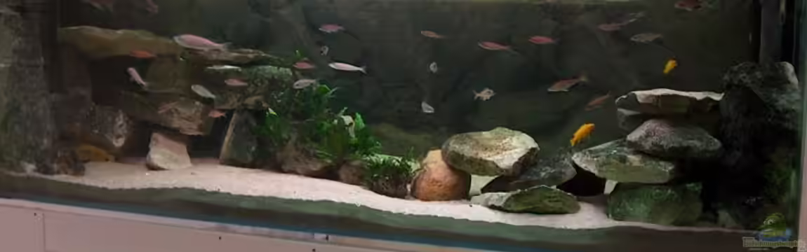 Becken 798 von Yigit Nur