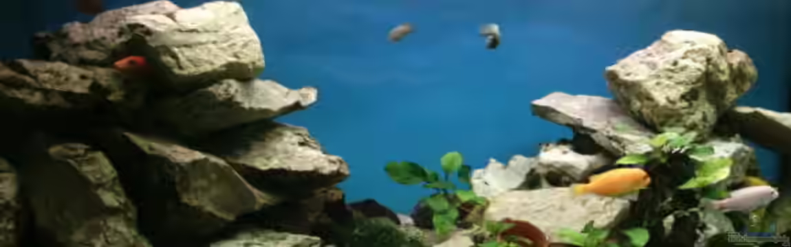 Becken 800 von Heiko Schipke