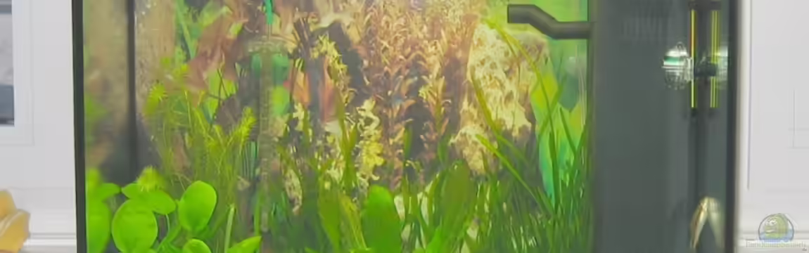 Becken 8114 von Bikoffm