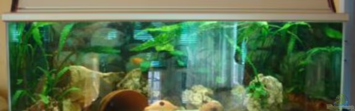 Becken 814 von Rainer Brohmann