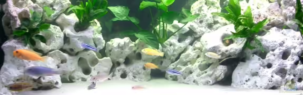 Becken 815 von Christoph Jacke