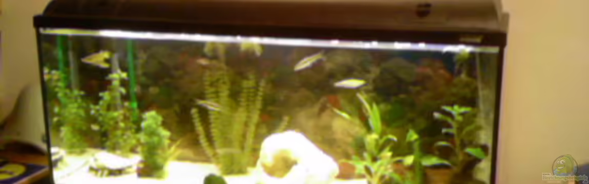 Becken 8241 von Ingo Weiß