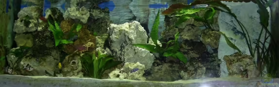 Becken 8290 von mmaik2k