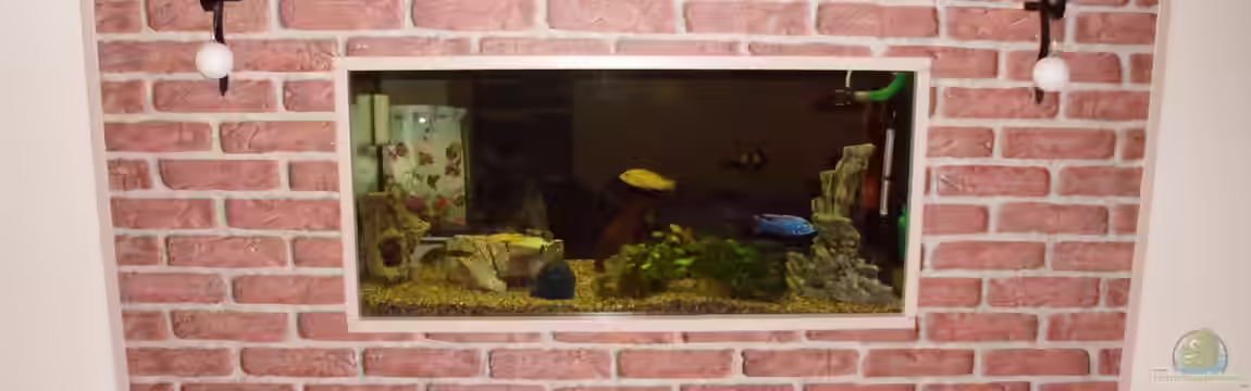 Becken 8302 von André Lenz