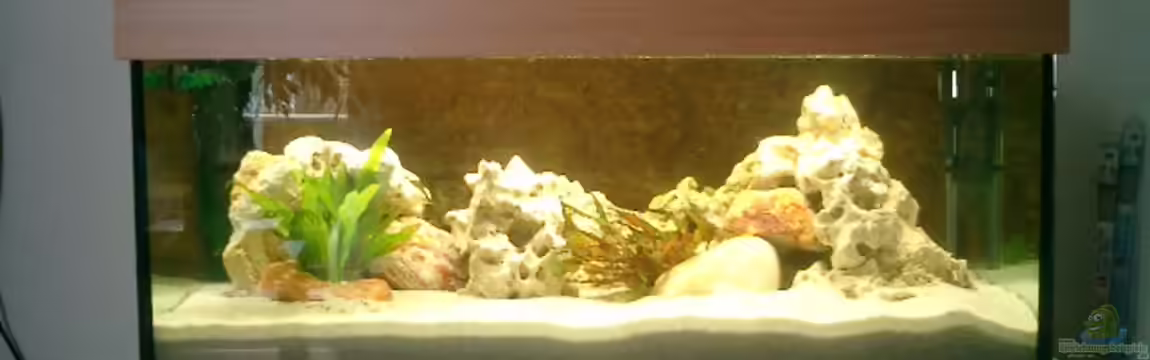 Becken 838 von vizekoenich