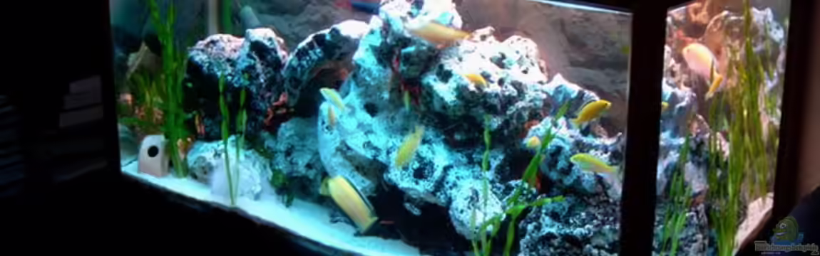 Becken 842 von Peggy Schreyer