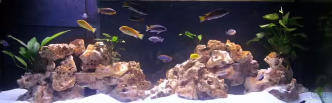 Becken 8459 von wuk12