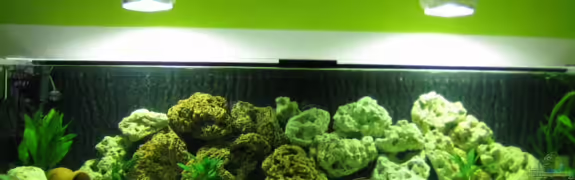 Becken 8524 von Solle