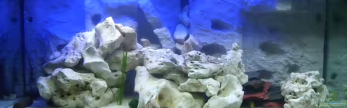 Becken 8555 von Torsten Dau