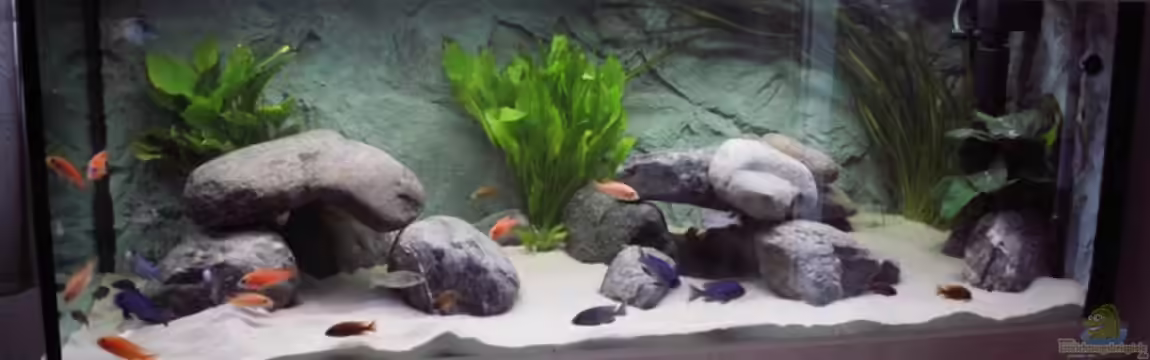 Becken 856 von wede1980